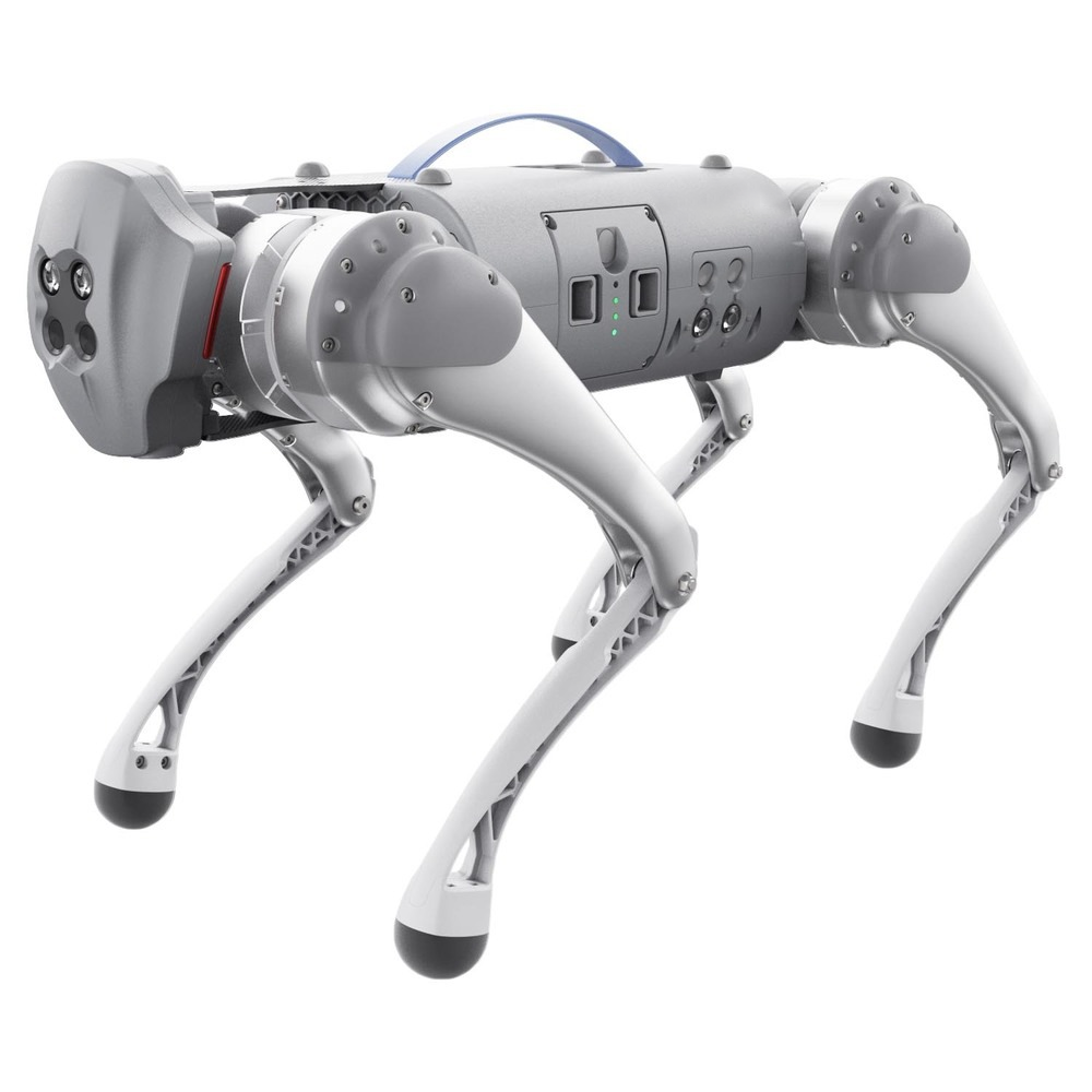 Robotic dog for patrol, inspection, and interactive displays
